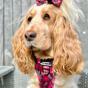 Bow Tie - Mable's Meadow