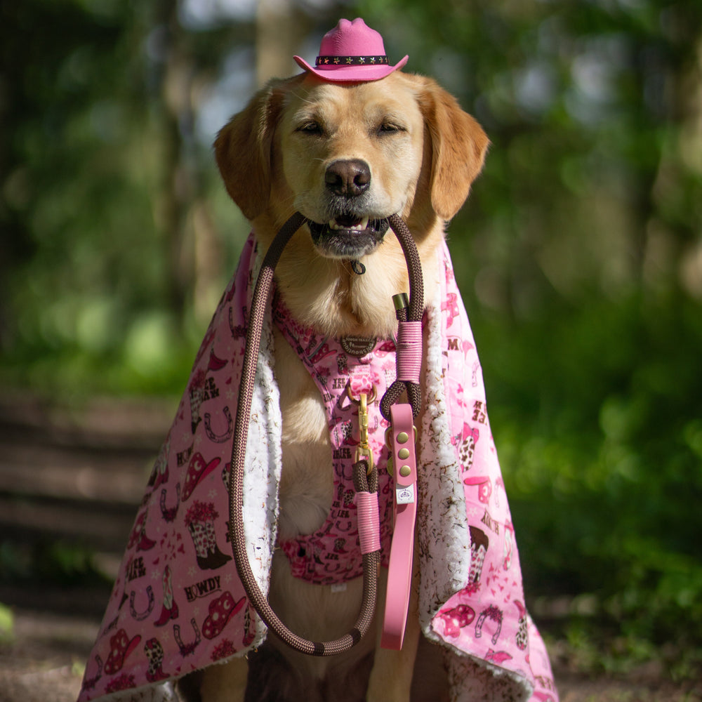 4ft Rope Lead - Brown + Pink