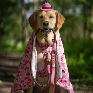 4ft Rope Lead - Brown + Pink