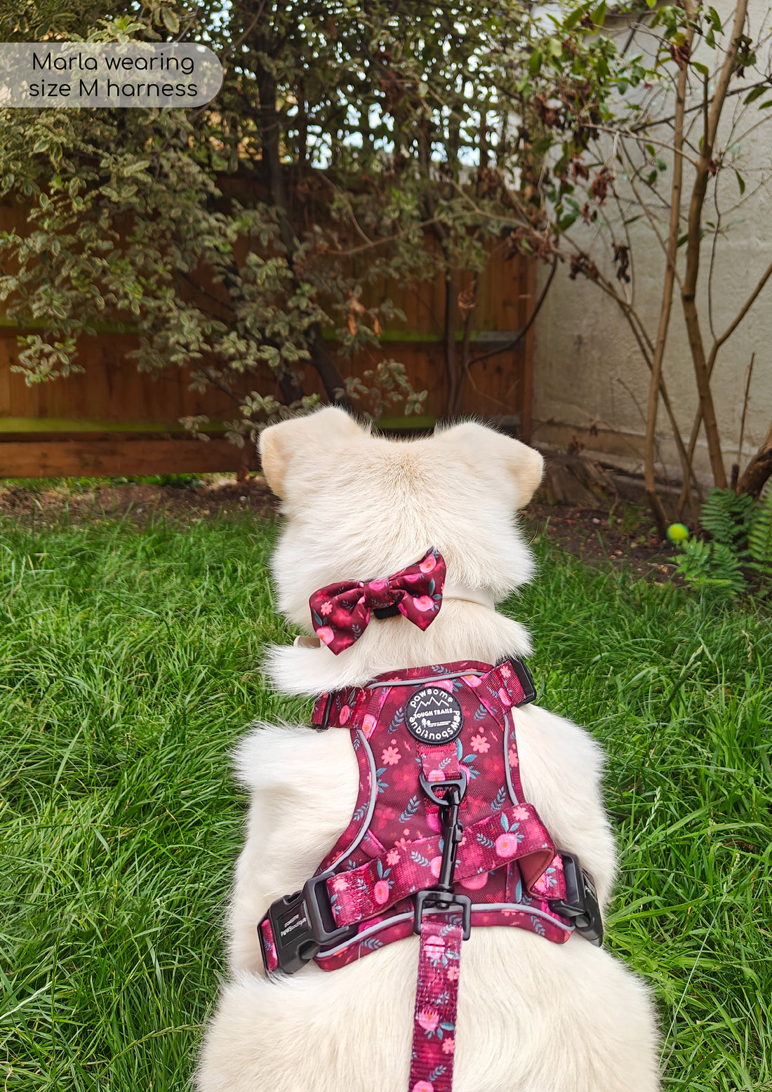 Bow Tie - Mable's Meadow