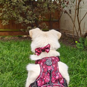 Bow Tie - Mable's Meadow