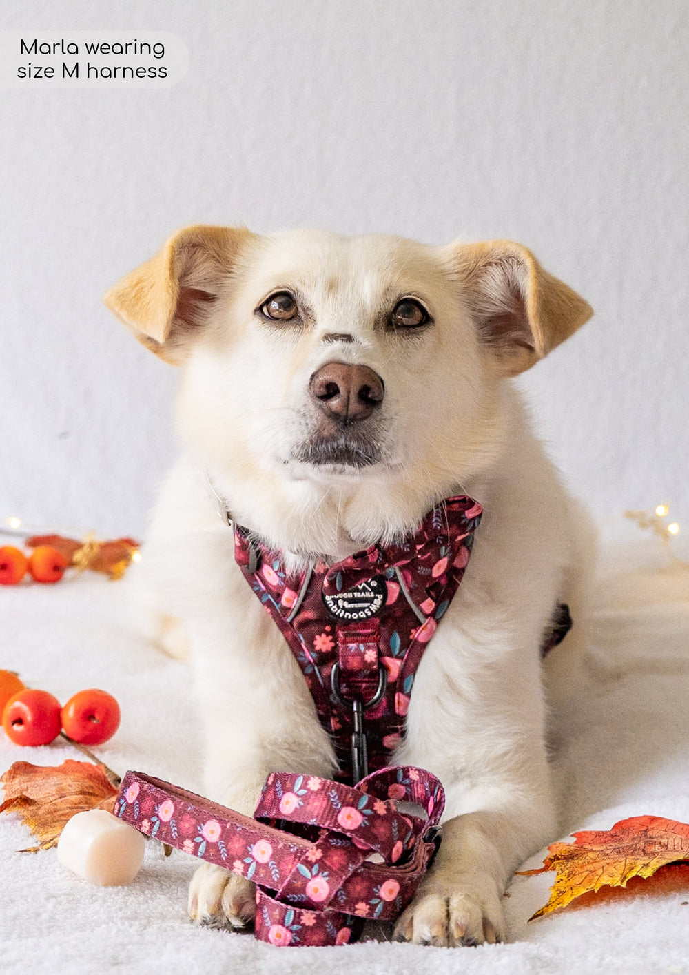 Lead - Mable's Meadow