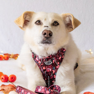 Lead - Mable's Meadow