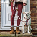 Lead - Plaid Pup