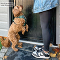 Walkies Ready® Leggings - Black
