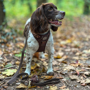 4ft Waterproof Lead - Walkies Ready® Chocolate Brown