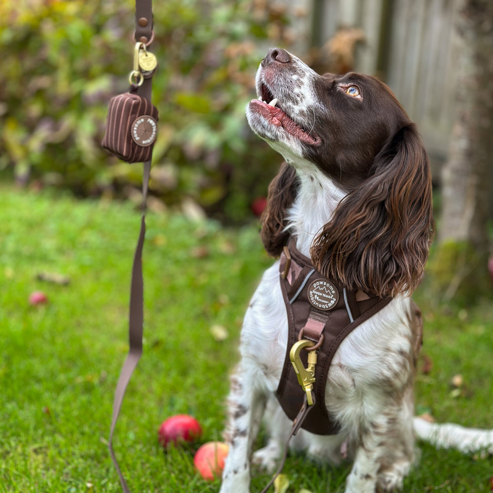 Poo Bag Holder - Walkies Ready® Chocolate Brown