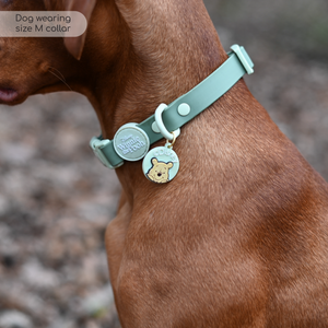 Disney© Waterproof Collar - 100 Aker Wood