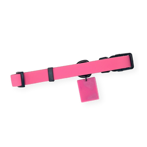 Waterproof Collar - Mean Girls