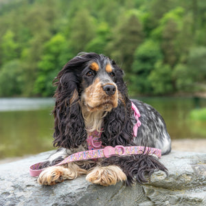 Disney© Lead - Nala