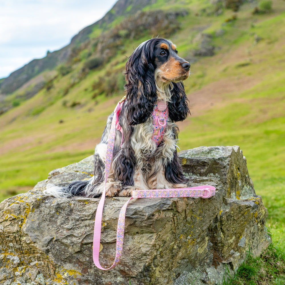 Disney© Lead - Nala