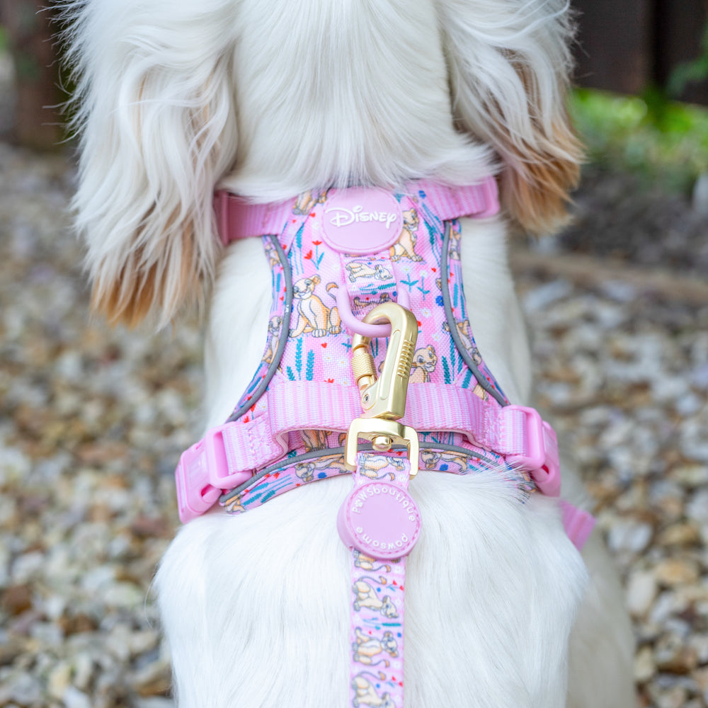 Disney© Lead - Nala