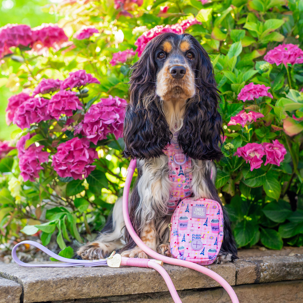 Treat + Go Bag - Emily In Paris
