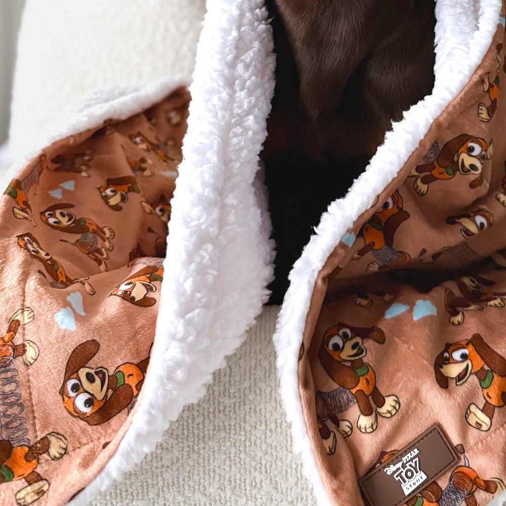 Disney© Dog Blanket - Slinky