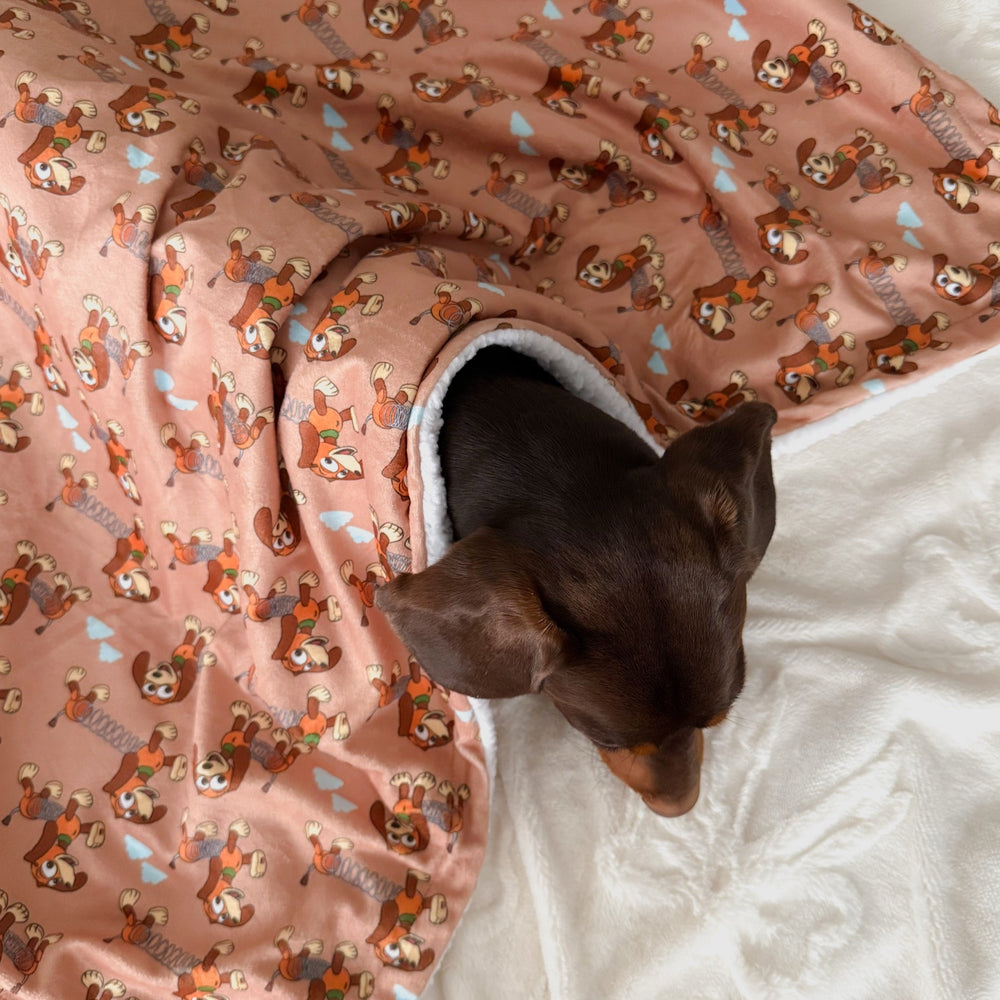 Disney© Dog Blanket - Slinky