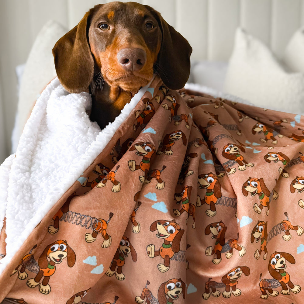 Disney© Dog Blanket - Slinky