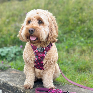 Poo Bag Holder - Mable's Meadow