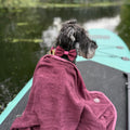 Bow Tie - Walkies Ready® - Mulberry