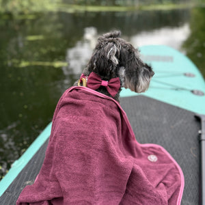 Bow Tie - Walkies Ready® - Mulberry