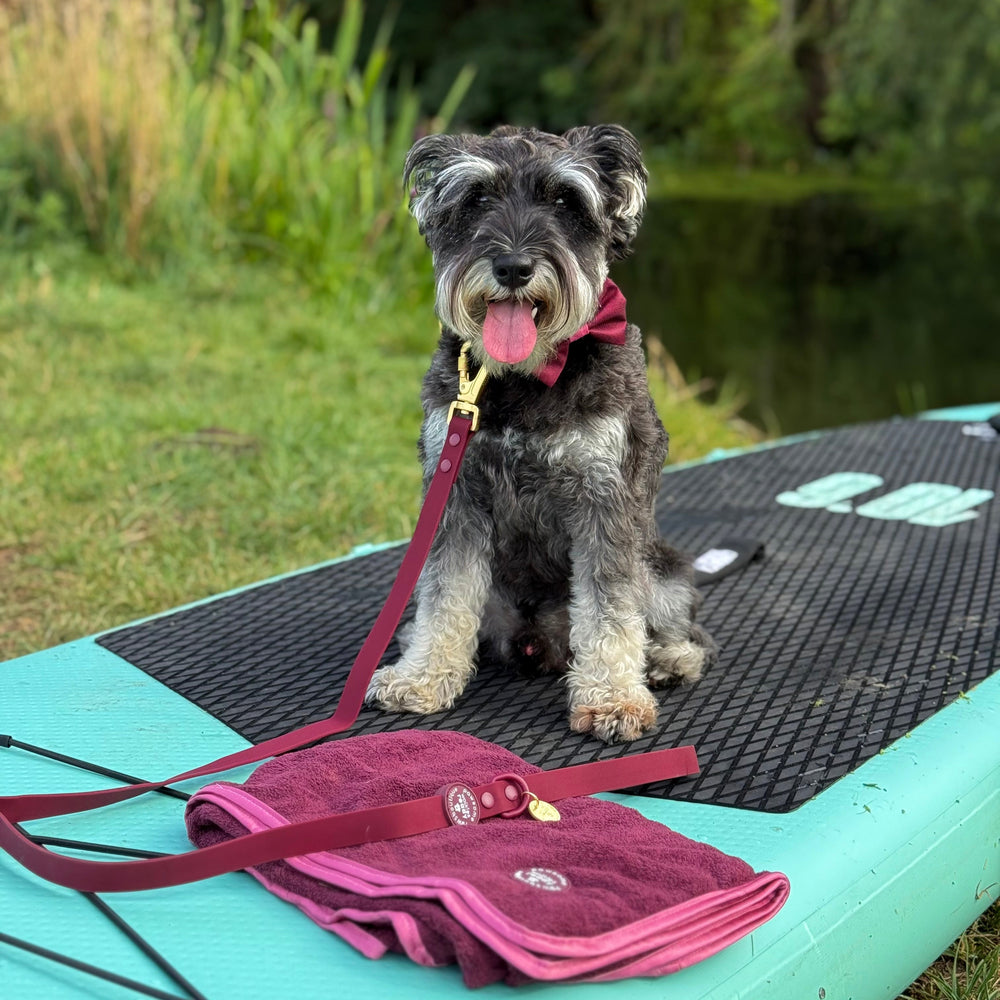 4ft Waterproof Lead - Walkies Ready® Mulberry