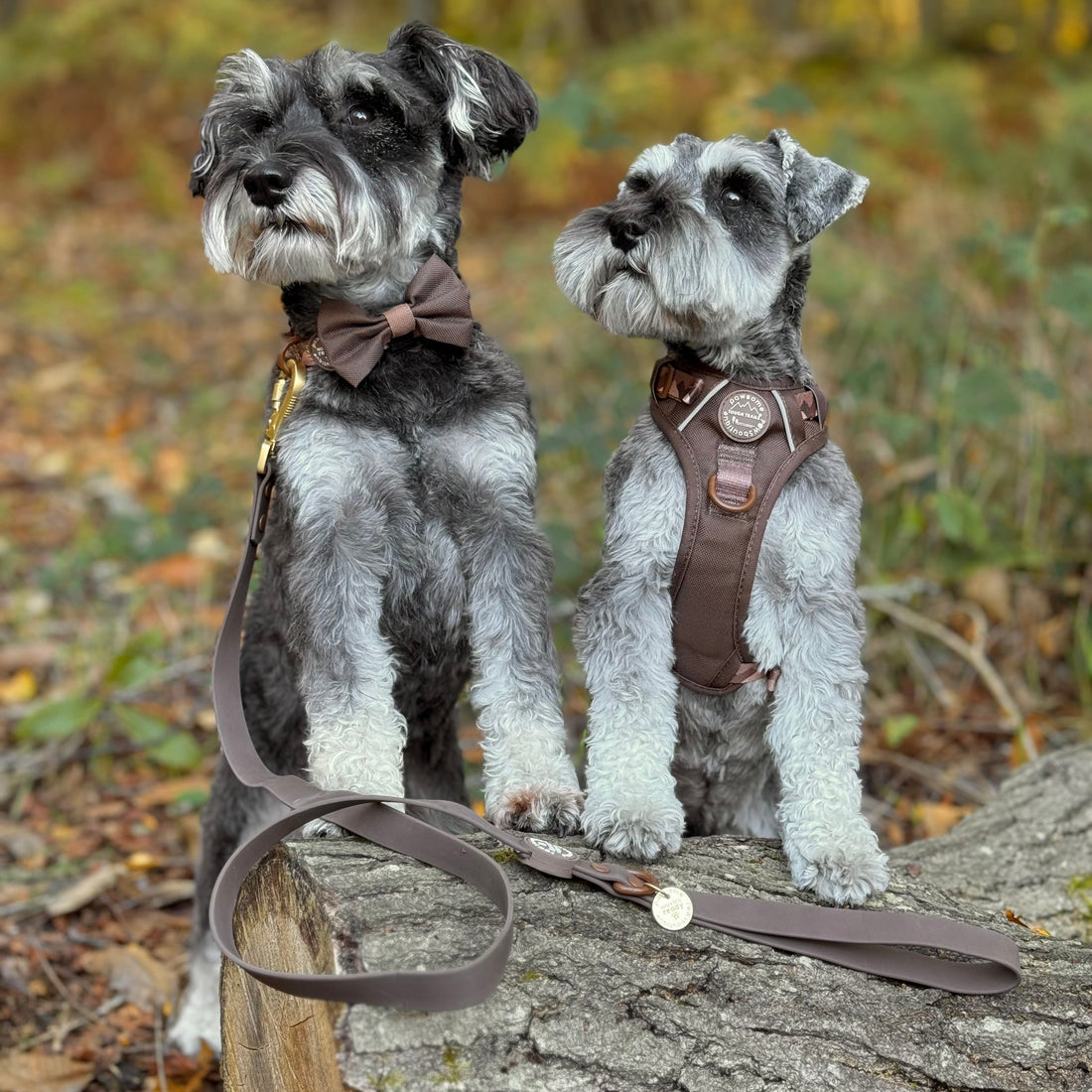 4ft Waterproof Lead - Walkies Ready® Chocolate Brown