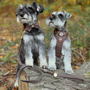 4ft Waterproof Lead - Walkies Ready® Chocolate Brown