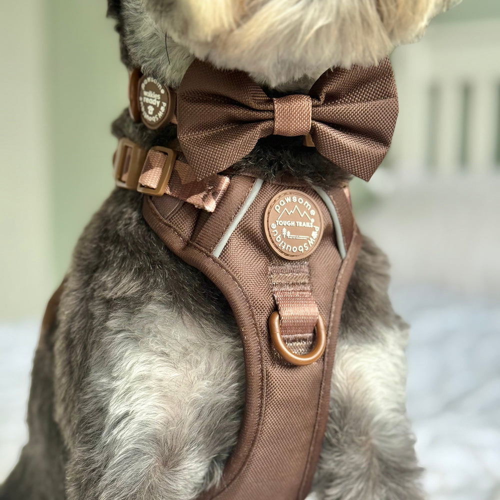 Bow Tie - Walkies Ready® - Chocolate Brown