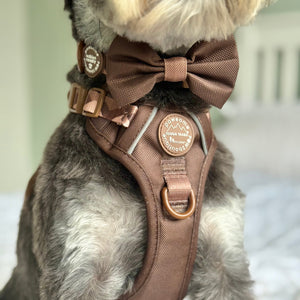 Bow Tie - Walkies Ready® - Chocolate Brown