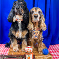 Paddington™ Bow Tie - Peckish Paddington