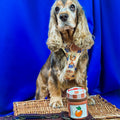 Paddington™ Treat Pouch - Marmalade