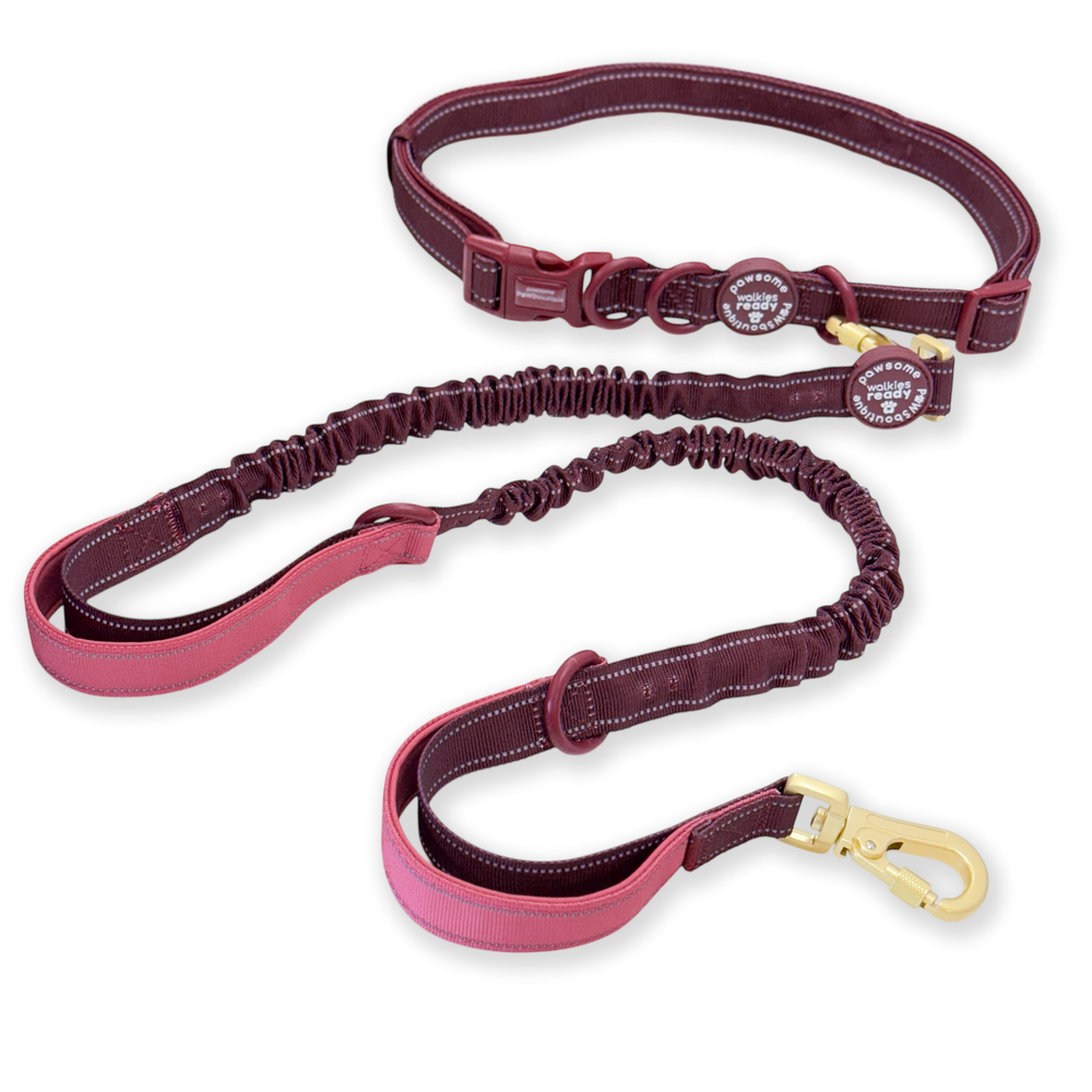 Handsfree Lead - Walkies Ready® Mulberry