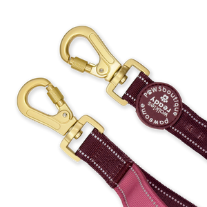 Handsfree Lead - Walkies Ready® Mulberry