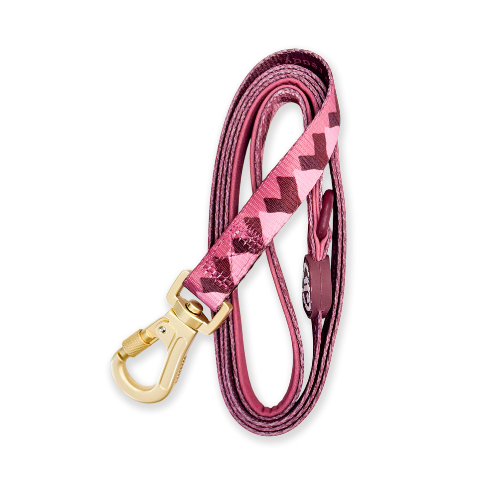 Lead - Walkies Ready® Mulberry