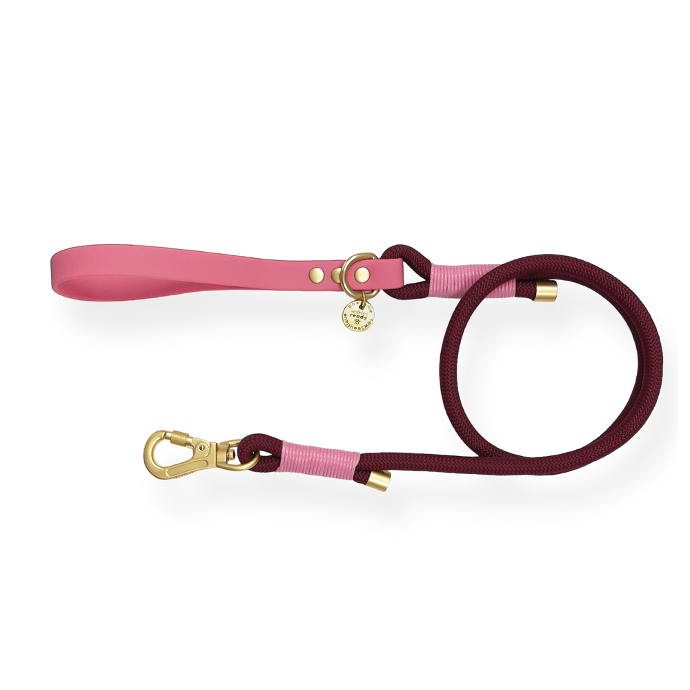 4ft Rope Lead - Mulberry