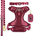 Walkies Ready Mulberry Ultimate Bundle