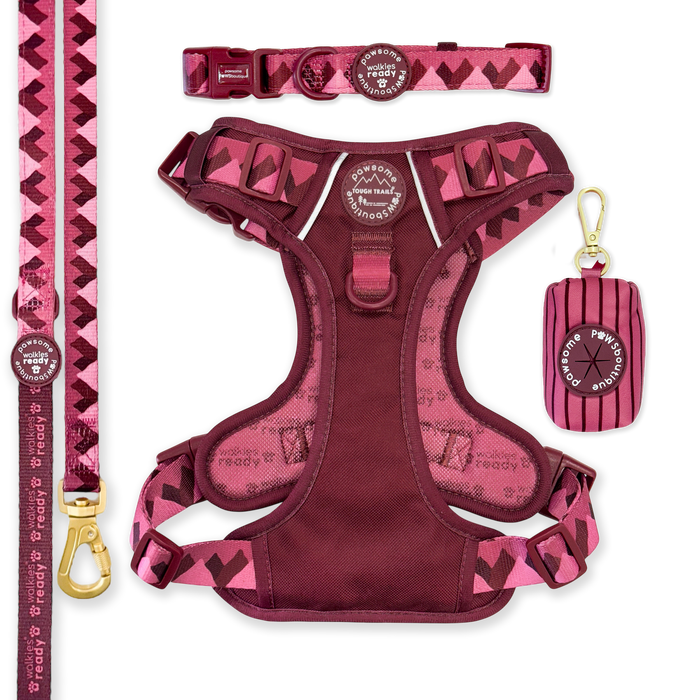Walkies Ready Mulberry Ultimate Bundle