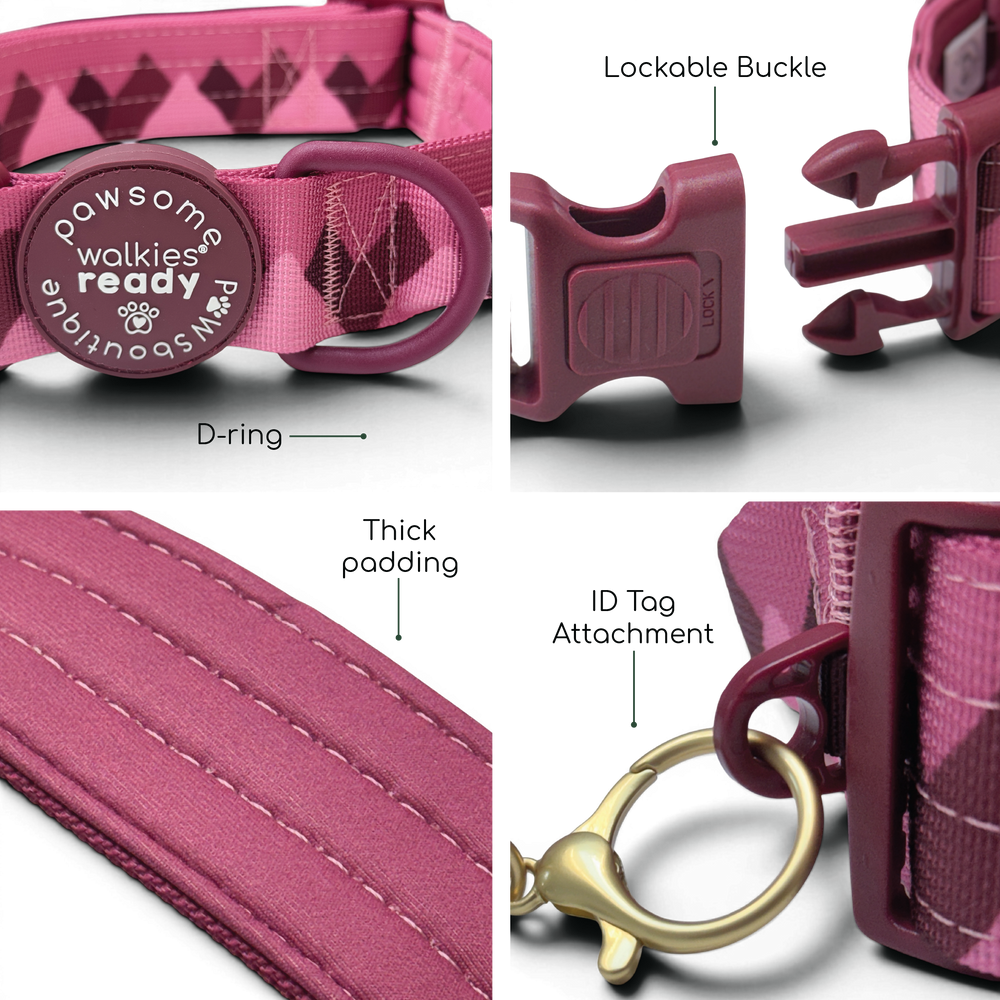 Adventure Collar - Mulberry (Size Large Only)