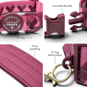 Adventure Collar - Mulberry (Size Large Only)