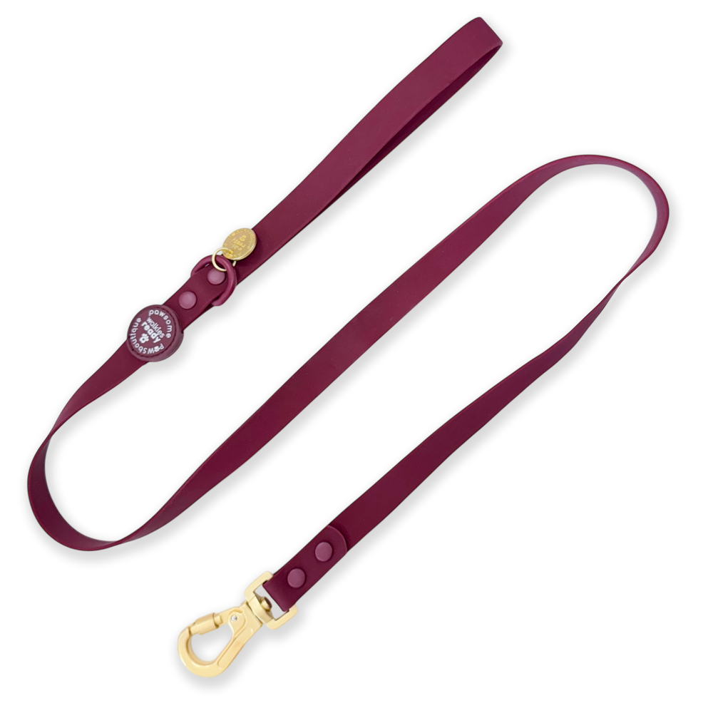 4ft Waterproof Lead - Walkies Ready® Mulberry