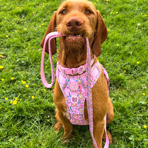 Disney© Lead - Nala