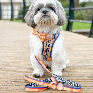 Disney© Lead - Woody