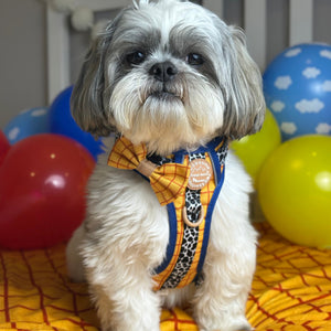 Disney© Bow Tie - Woody