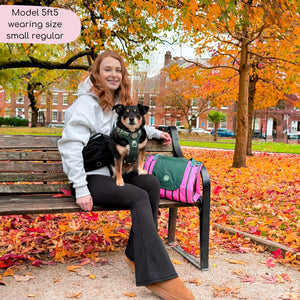 Flared Leggings - Black