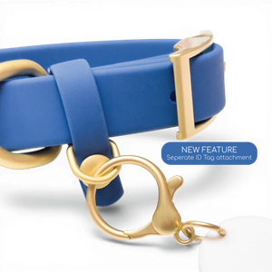 Waterproof Collar - Royal Blue
