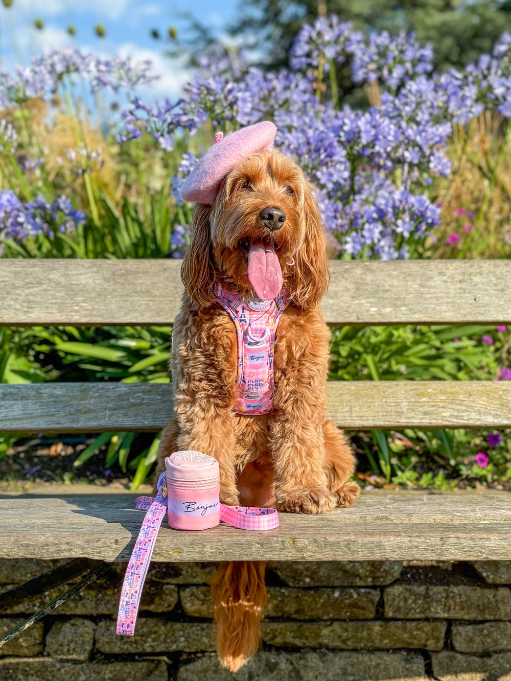 Bonjour Treat Pouch - Emily In Paris