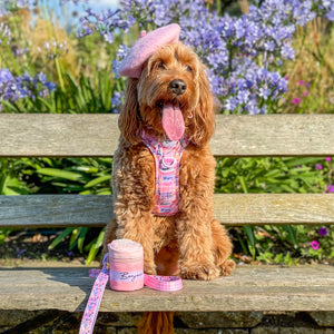 Bonjour Treat Pouch - Emily In Paris