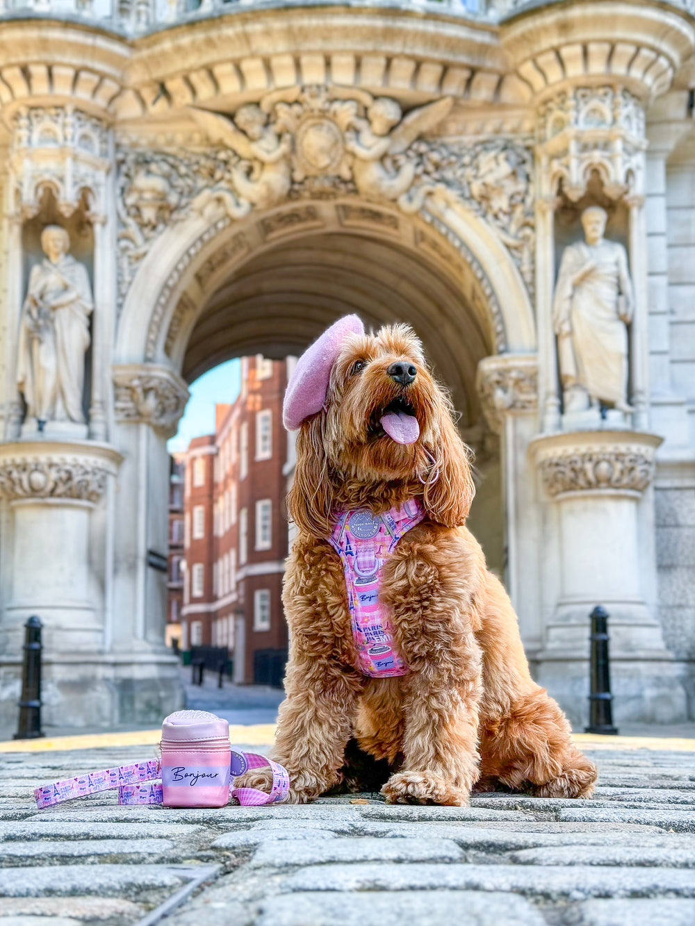 Bonjour Treat Pouch - Emily In Paris