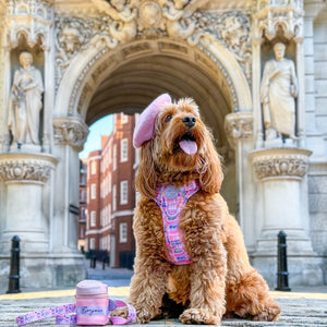 Bonjour Treat Pouch - Emily In Paris