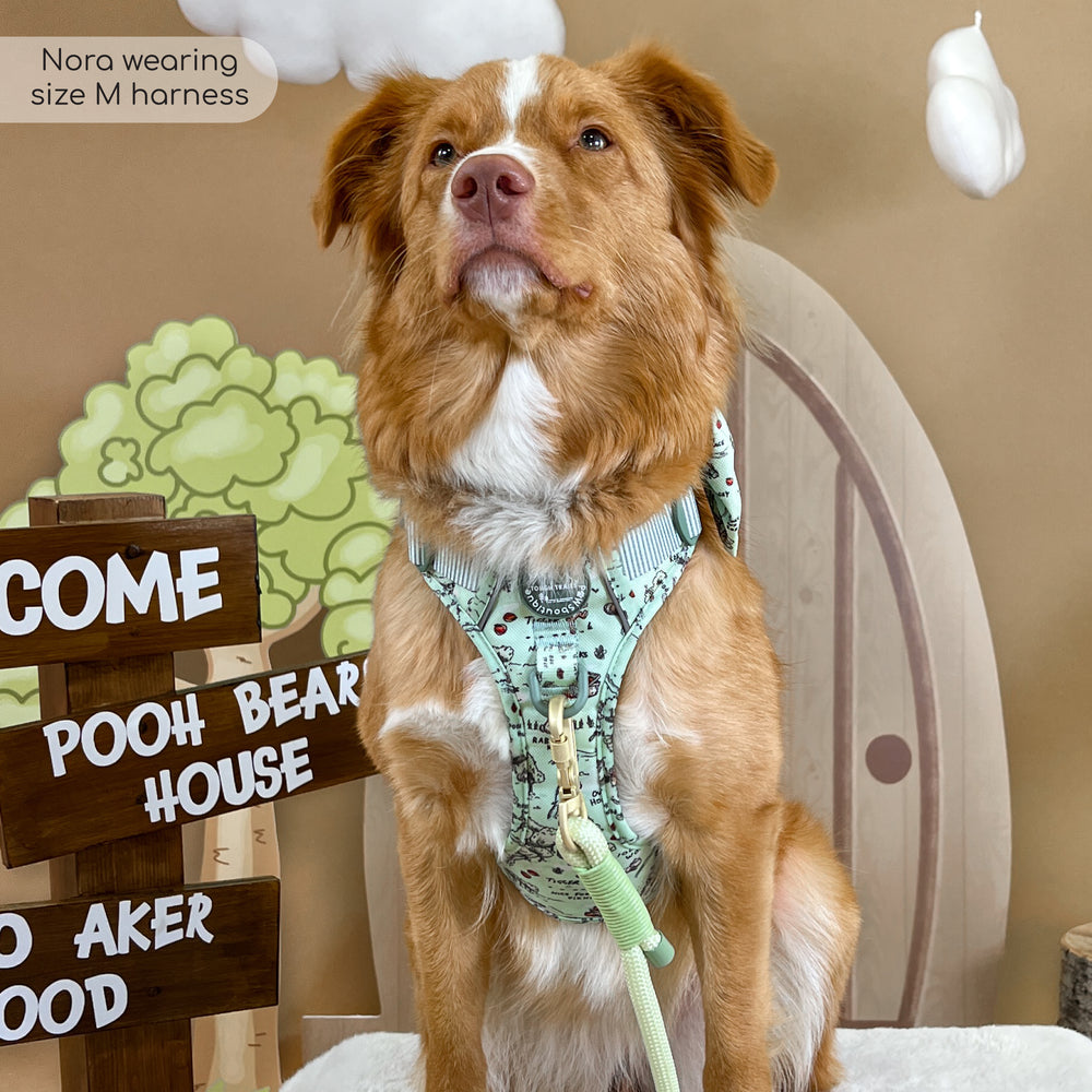 Disney© Tough Trails™ Harness - 100 Aker Wood