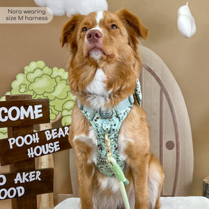 Disney© Tough Trails™ Harness - 100 Aker Wood